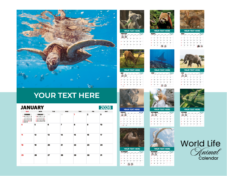 World Life Animal